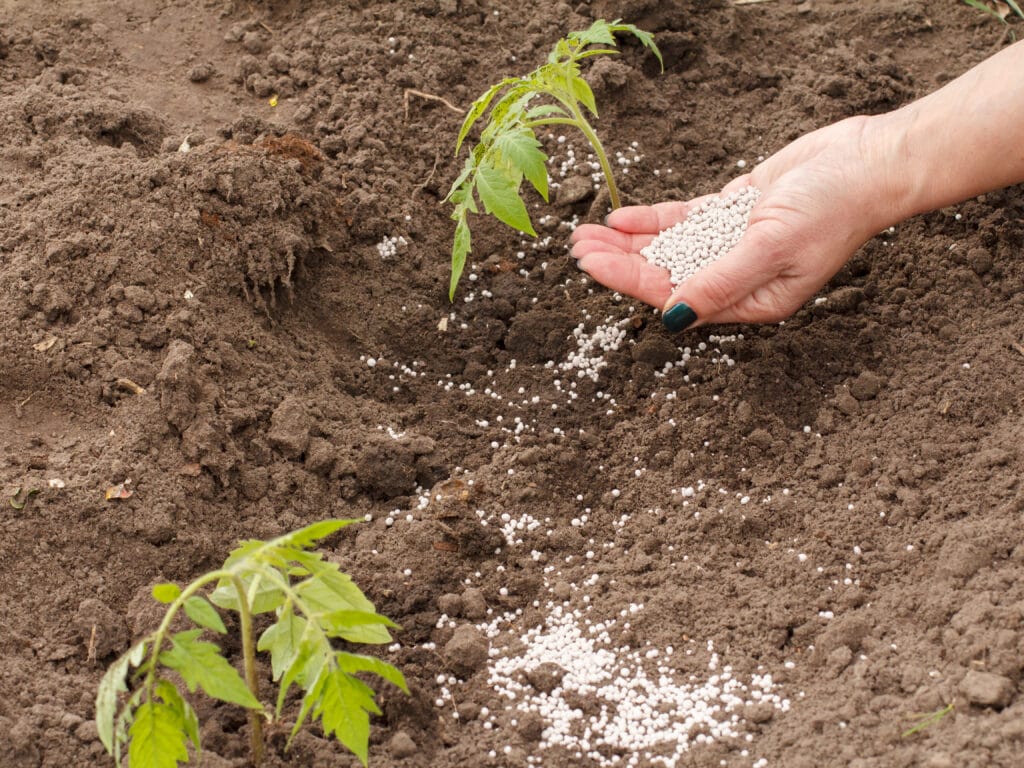 fertilizantes para tu huerto plantiagro
